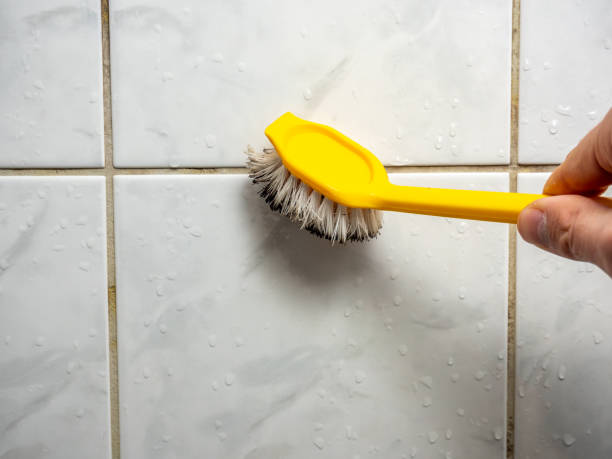 Best Mold Remediation for Specific Building Types in Summitville, IN