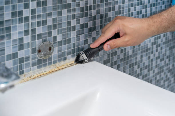 Best Insurance-Related Mold Remediation in Summitville, IN